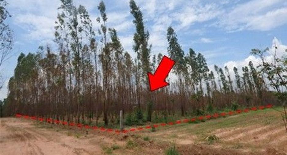 出售 土地 在 Nong Bua Daeng, Chaiyaphum