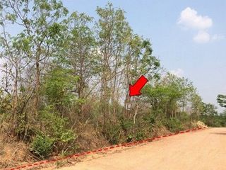 出售 土地 在 Nong Bua Daeng, Chaiyaphum