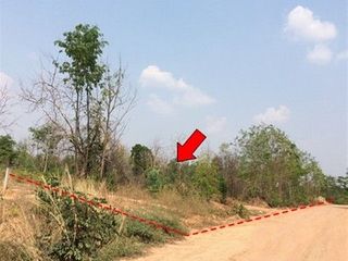出售 土地 在 Nong Bua Daeng, Chaiyaphum