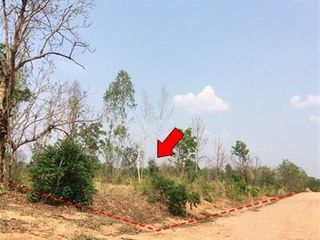 出售 土地 在 Nong Bua Daeng, Chaiyaphum
