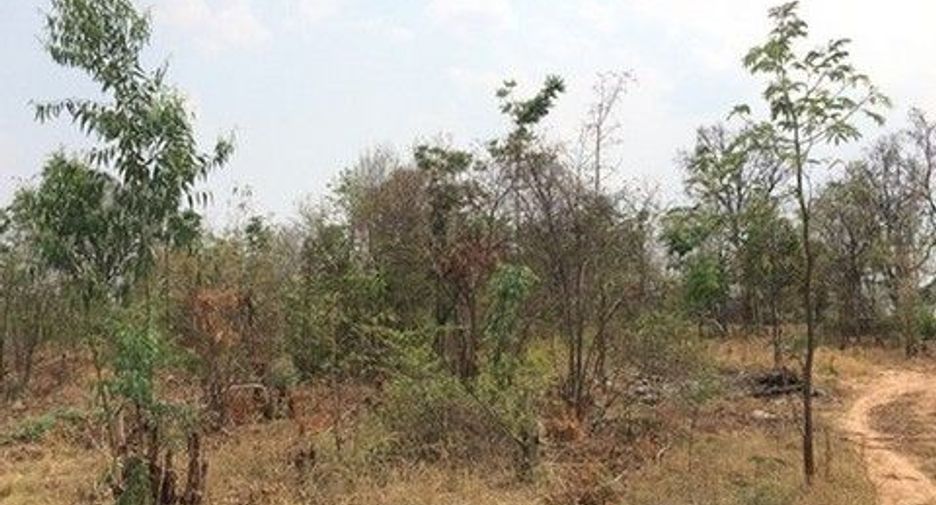 出售 土地 在 Nong Bua Daeng, Chaiyaphum