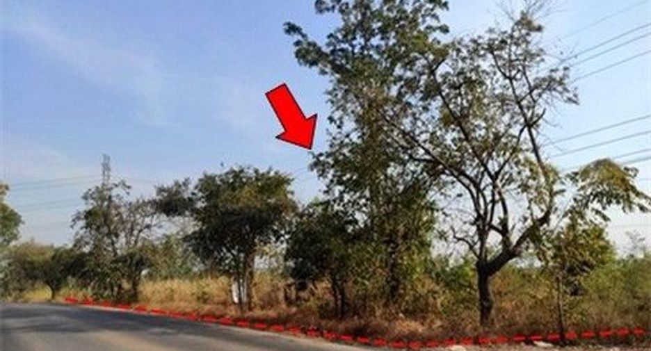出售 土地 在 Nong Bua Daeng, Chaiyaphum