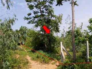 出售 土地 在 Nong Bua Daeng, Chaiyaphum