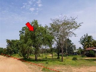 出售 土地 在 Nong Bua Daeng, Chaiyaphum