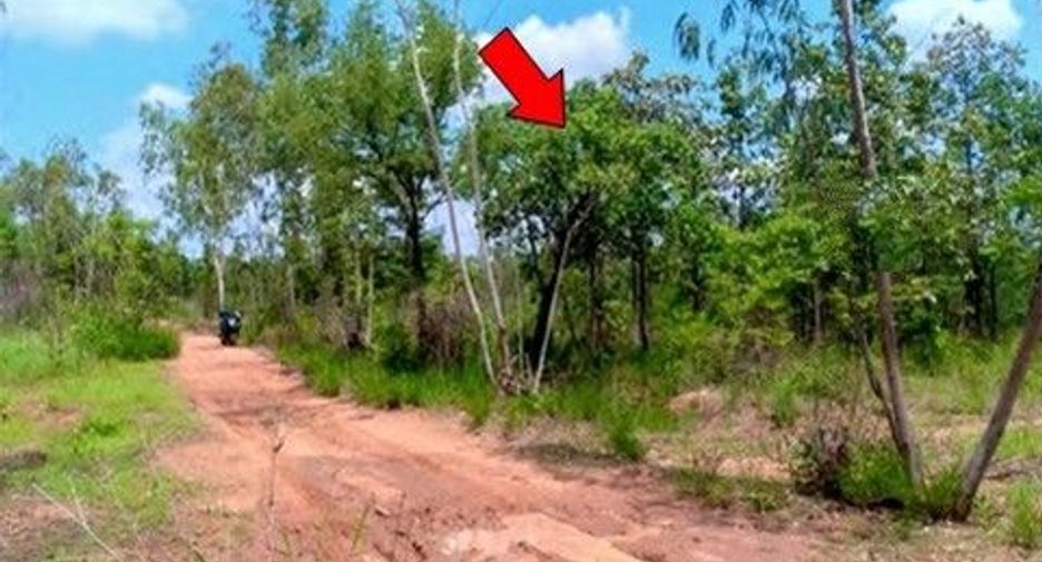 出售 土地 在 Nong Bua Daeng, Chaiyaphum