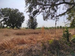 出售 土地 在 Nong Bua Daeng, Chaiyaphum