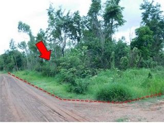 出售 土地 在 Nong Bua Daeng, Chaiyaphum