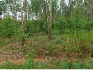 出售 土地 在 Nong Bua Daeng, Chaiyaphum