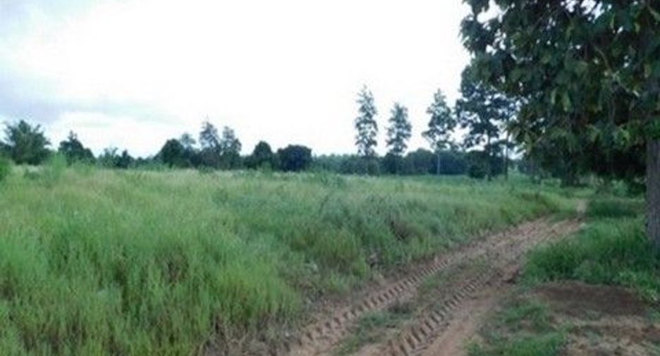 出售 土地 在 Nong Bua Daeng, Chaiyaphum