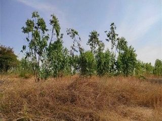 出售 土地 在 Nong Bua Daeng, Chaiyaphum