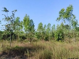出售 土地 在 Nong Bua Daeng, Chaiyaphum