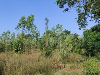出售 土地 在 Nong Bua Daeng, Chaiyaphum