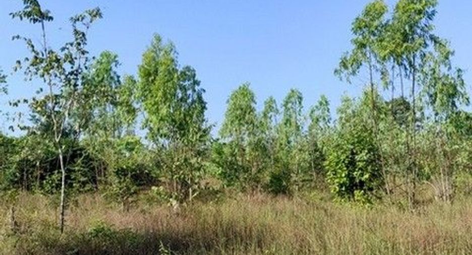 出售 土地 在 Nong Bua Daeng, Chaiyaphum
