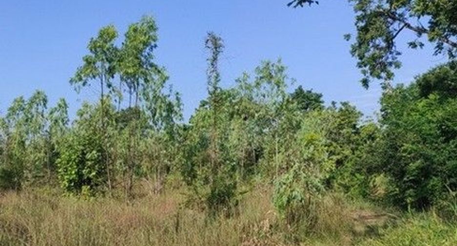 出售 土地 在 Nong Bua Daeng, Chaiyaphum