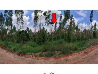 出售 土地 在 Nong Bua Daeng, Chaiyaphum