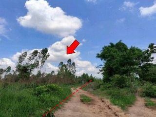 出售 土地 在 Nong Bua Daeng, Chaiyaphum