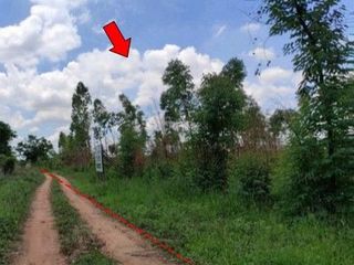 出售 土地 在 Nong Bua Daeng, Chaiyaphum
