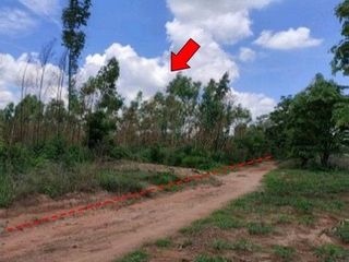 出售 土地 在 Nong Bua Daeng, Chaiyaphum
