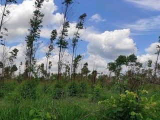 出售 土地 在 Nong Bua Daeng, Chaiyaphum