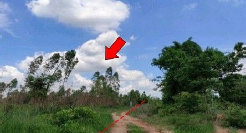 出售 土地 在 Nong Bua Daeng, Chaiyaphum