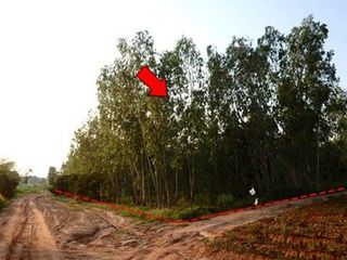 出售 土地 在 Nong Bua Daeng, Chaiyaphum