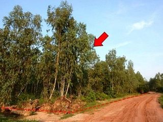 出售 土地 在 Nong Bua Daeng, Chaiyaphum