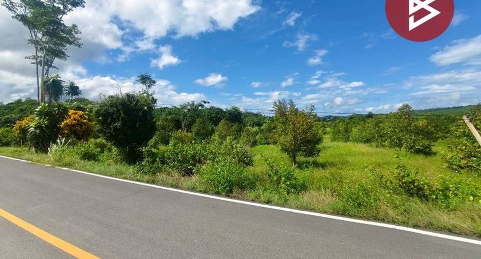 出售 土地 在 Pong Nam Ron, Chanthaburi