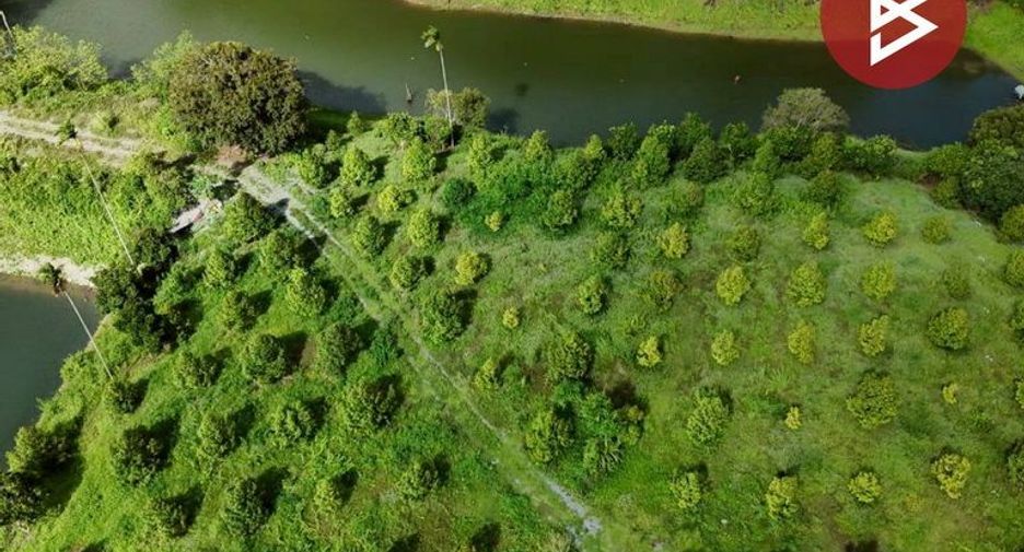 出售 土地 在 Pong Nam Ron, Chanthaburi