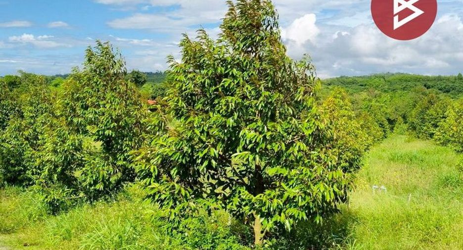 出售 土地 在 Pong Nam Ron, Chanthaburi