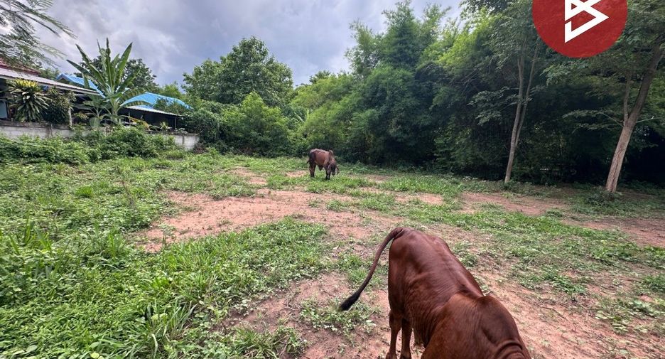 For sale land in Nong Ruea, Khon Kaen