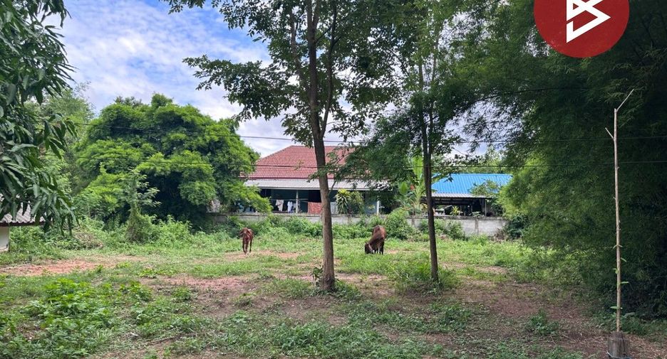 For sale land in Nong Ruea, Khon Kaen