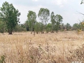 Grundstück zum Kauf in Chok Chai, Nakhon Ratchasima
