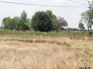 Grundstück zum Kauf in Chok Chai, Nakhon Ratchasima