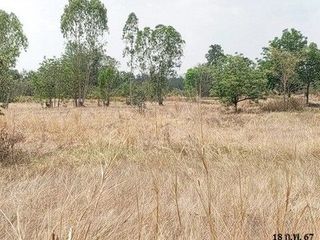 Grundstück zum Kauf in Chok Chai, Nakhon Ratchasima