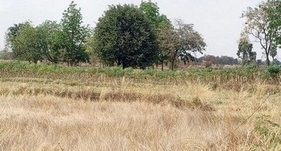 出售 土地 在 Chok Chai, Nakhon Ratchasima