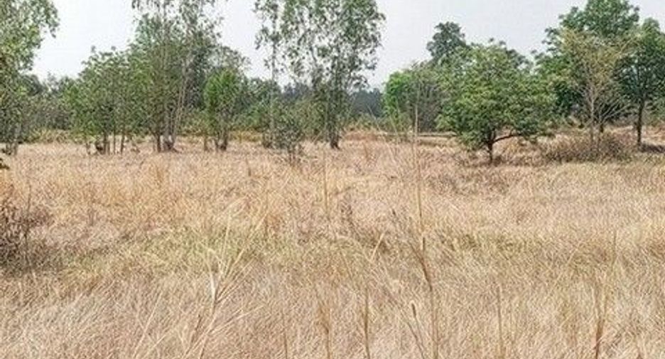 出售 土地 在 Chok Chai, Nakhon Ratchasima