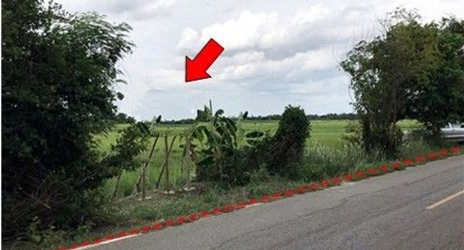 出售 土地 在 Chok Chai, Nakhon Ratchasima