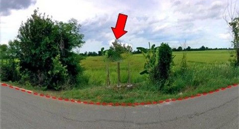 出售 土地 在 Chok Chai, Nakhon Ratchasima