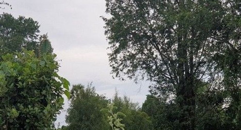 出售 土地 在 Chok Chai, Nakhon Ratchasima