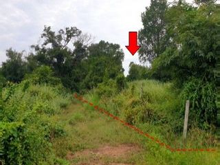 Grundstück zum Kauf in Chok Chai, Nakhon Ratchasima