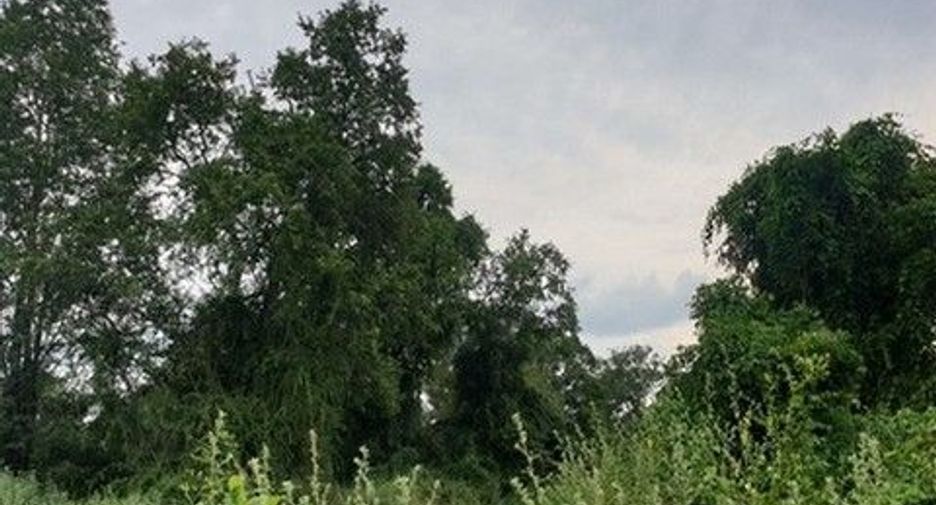 出售 土地 在 Chok Chai, Nakhon Ratchasima