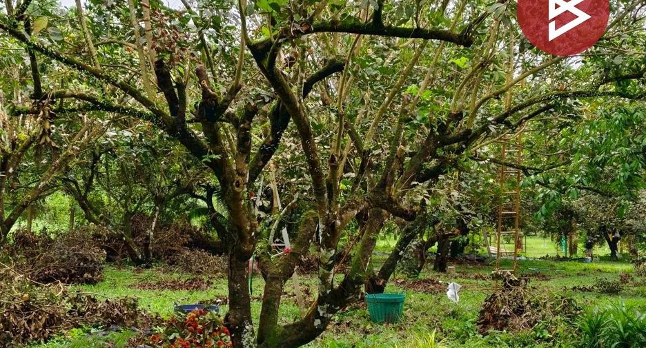 For sale land in Tha Mai, Chanthaburi