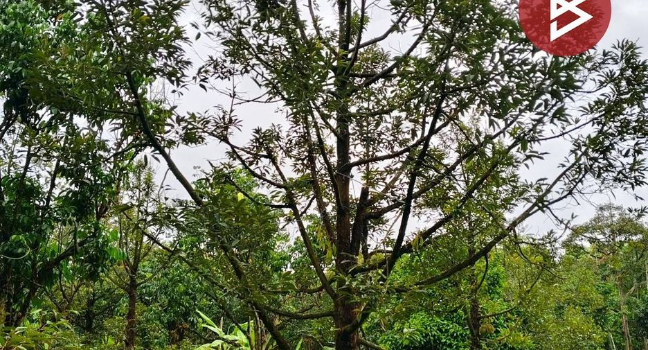 For sale land in Tha Mai, Chanthaburi