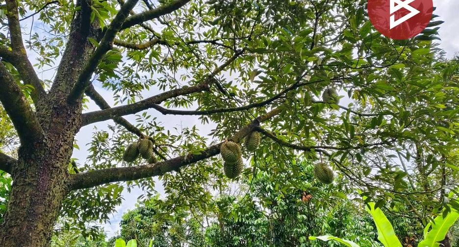 For sale land in Tha Mai, Chanthaburi