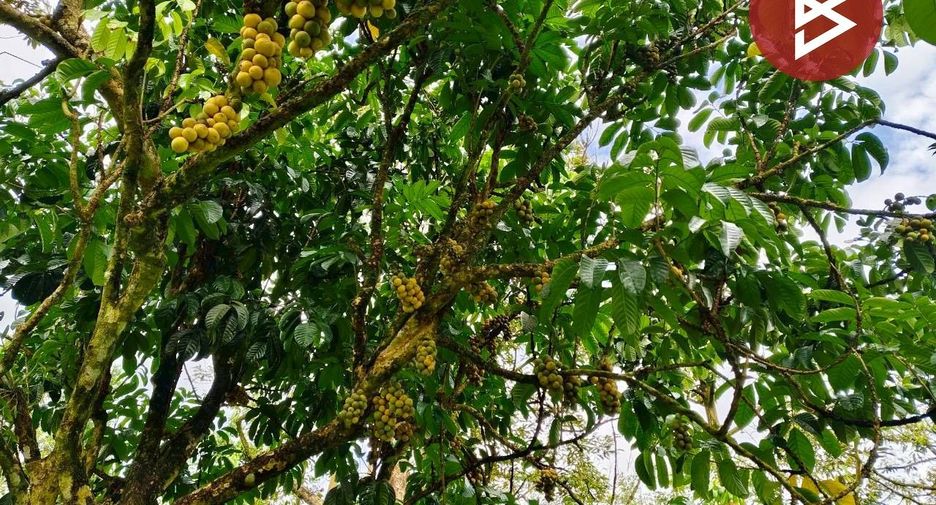 For sale land in Tha Mai, Chanthaburi