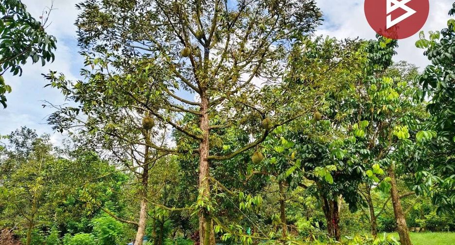 For sale land in Tha Mai, Chanthaburi