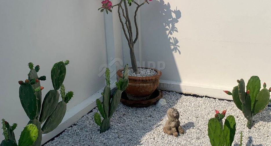 出售 4 卧室 独立屋 在 Pran Buri, 班武里府