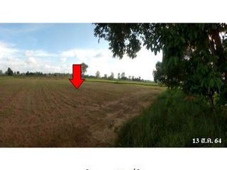 Продажа Участок в Loeng Nok Tha, Yasothon