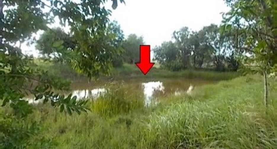 Продажа Участок в Loeng Nok Tha, Yasothon