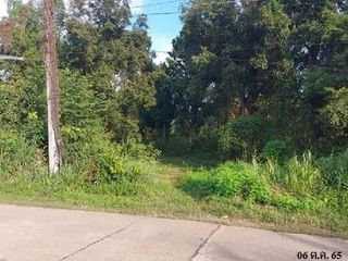 Продажа Участок в Loeng Nok Tha, Yasothon